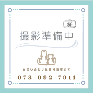 撮影準備中