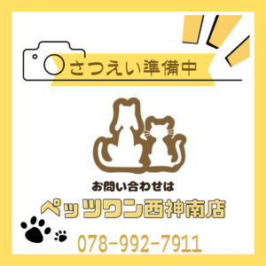 撮影準備中2