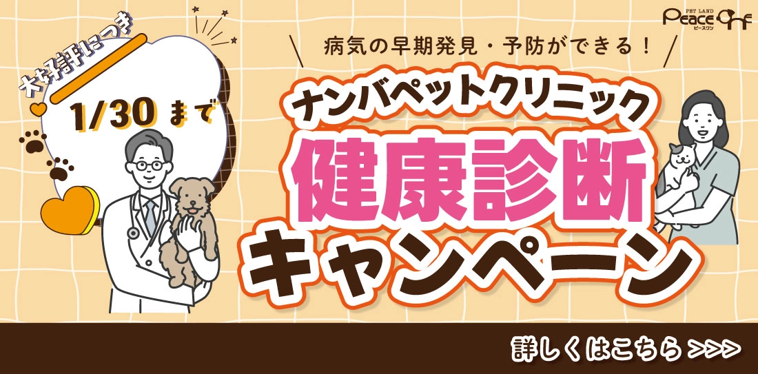 ナンバペットクリニック健康診断キャンペーン