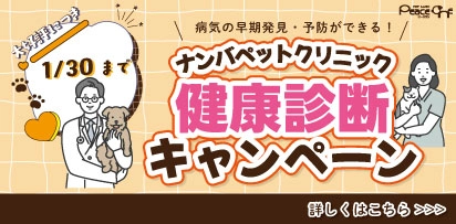 ナンバペットクリニック健康診断キャンペーン